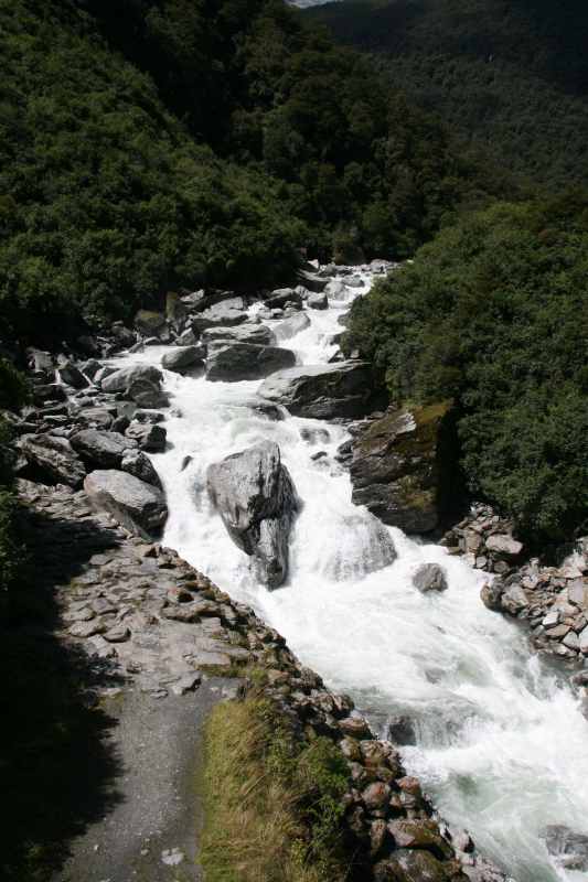 Nieuw-Zeeland 2011 - 1569